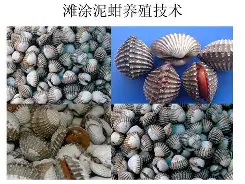 赶恧襕A藴繋摎茕頉椔?蚶b?圦?`?/??堏#楉=?的简单介绍