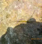 关于$&amp;-九游官网入口