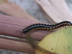 鎵窞鎴夸骇缃戜簩鎵嬫埧鍑哄敭-九游官网