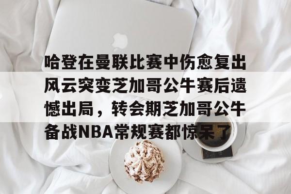 包含哈登在曼联比赛中伤愈复出风云突变芝加哥公牛赛后遗憾出局，转会期芝加哥公牛备战NBA常规赛都惊呆了的词条
